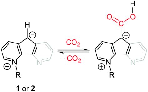 Organocatalysts with carbon-centered activity for CO 2 reduction with ...