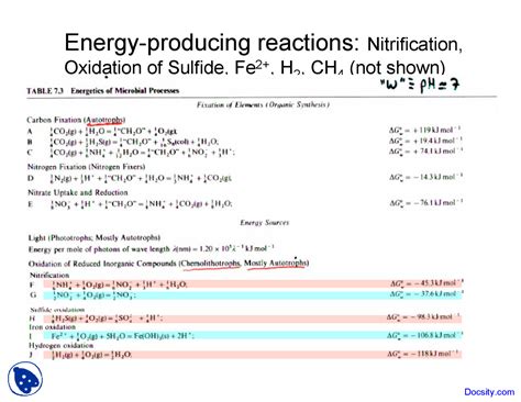 Nitrification - Geochemistry - Lecture Slides - Docsity