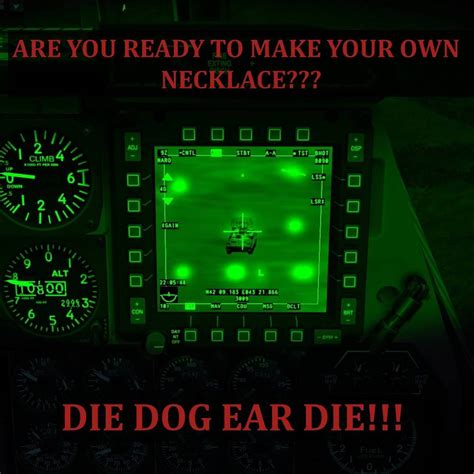 THE DOG EAR COLLECTOR