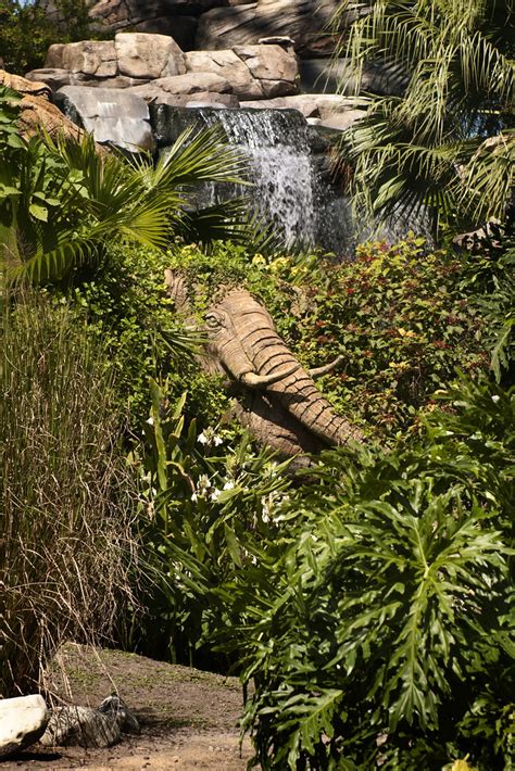 West African Crowned Crane Habitat Detail | I really liked t… | Flickr