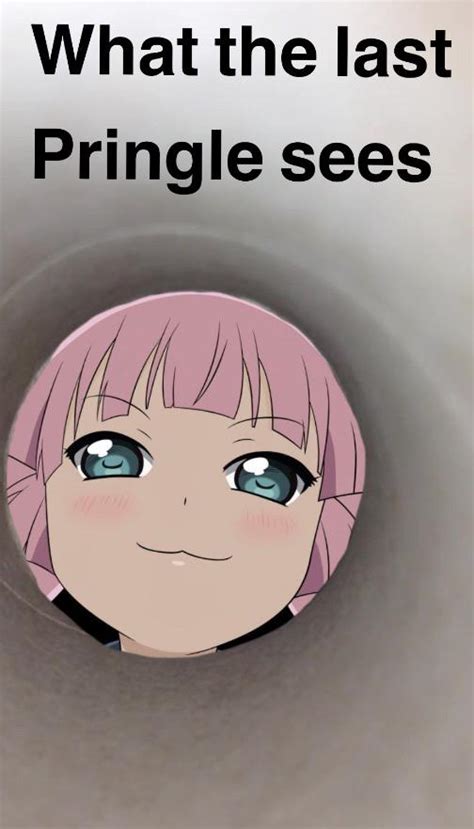 Pringles - Meme Monday #8 : r/yuruyuri