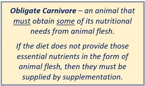 What is an Obligate Carnivore? - Raw Fed and Nerdy