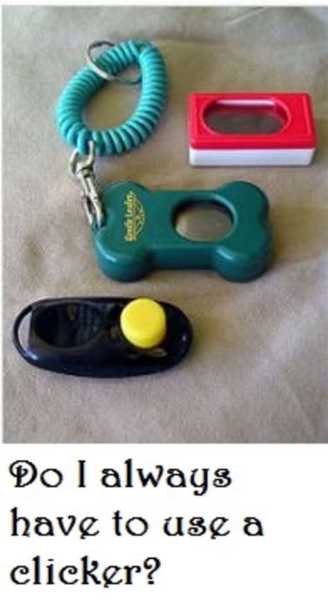 Do You Always Have to Use a Clicker in Dog Training? - Dog Discoveries