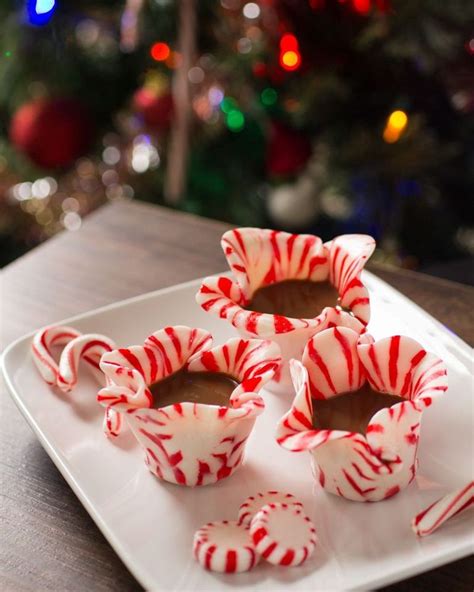 25 Candy Cane Crafts - DIY Decorations with Candy Canes