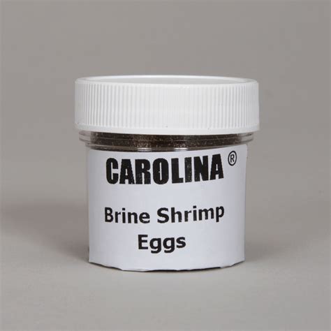 Brine Shrimp (Artemia) Eggs, 1 oz | Carolina.com