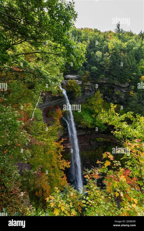 Kaaterskill Falls and Fall Foliage in The Catskill Mountains in upstate ...