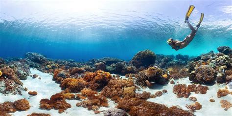 Snorkeling in Amed: A Guide to the Best Bays and Beaches