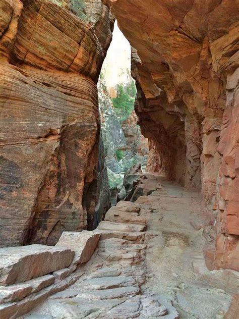 Observation Point – Zion National Park – Hike St George