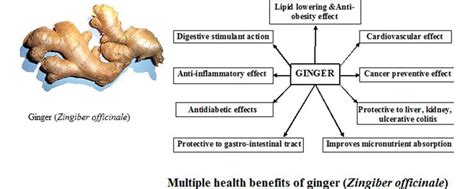 Anti-Inflammatory and Antioxidant Activities of Ginger | IntechOpen