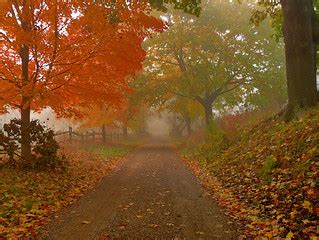 country road | Colts Neck, NJ. www.joiseyshowaa.com Web Site… | Flickr