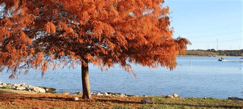 Lake Bastrop North Shore Park - LCRA - Energy, Water, Community