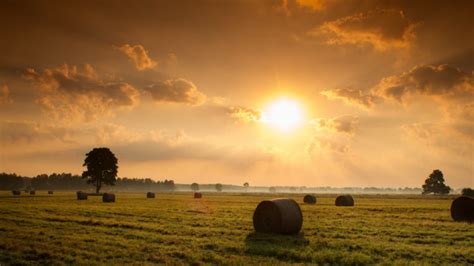 sunset, Field, Hay, Nature, Landscape Wallpapers HD / Desktop and ...