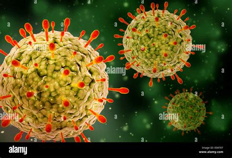 Microscopic view of herpes virus Stock Photo: 68934775 - Alamy