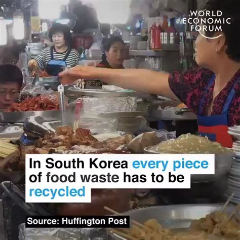 South Korea Recycle every piece of food waste. : r/recycling