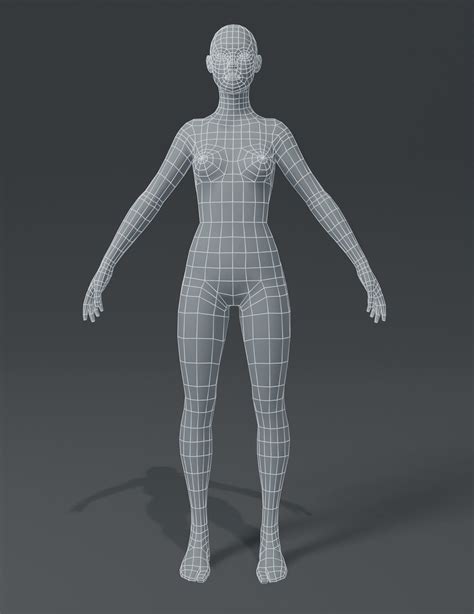 ArtStation - Human Body Base Mesh 3D Model Family Pack | Game Assets