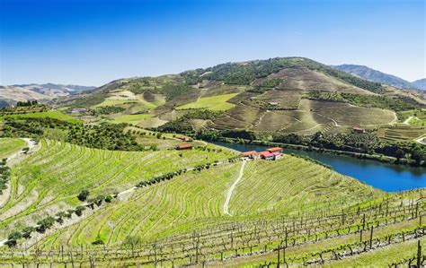 13 Best Douro River Cruises for 2023-2024