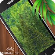 Forest Wallpaper HD Android APK Free Download – APKTurbo