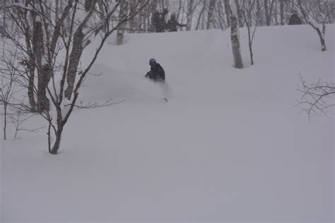 DSC_5160 | Niseko Weiss Powder Cats Hanazono | Flickr