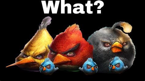 Angry Birds Meme Angry Birds Memes