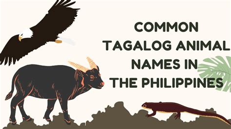 15+ Common Tagalog Animal Names: An Easy List - Ling App