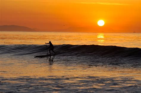 wax buddy: SANTA BARBARA SURFING