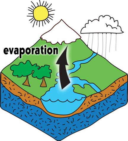 The Groundwater Foundation : Get Informed : The Basics : The Hydrologic Cycle