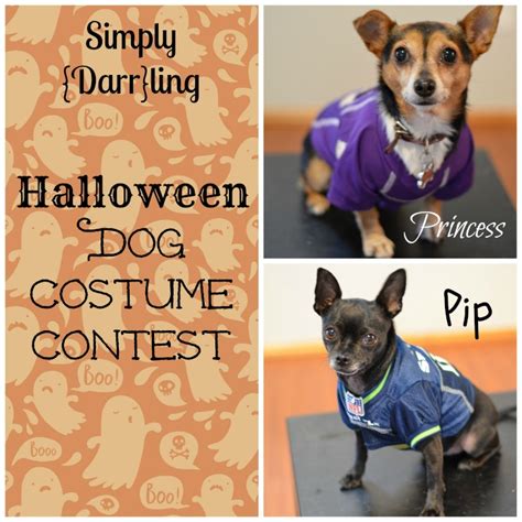 Halloween Dog Costume Contest