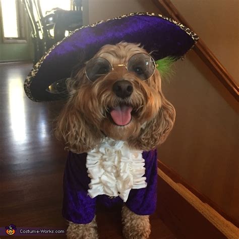 Prince Let's Go Crazy Dog Costume | Best DIY Costumes