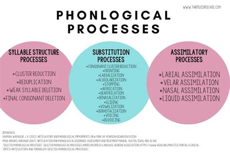 The Different Phonological Processes (List for SLPs) - The Pedi Speechie