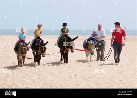 donkey riding on beach, great yarmouth, norfolk, england Stock Photo ...