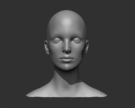 3D Disco - Female Head Realistic Base Mesh 3D Model