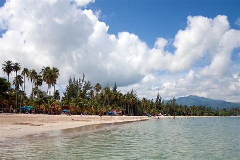 El Yunque Rainforest and Luquillo Beach Day Tour 2024 - San Juan