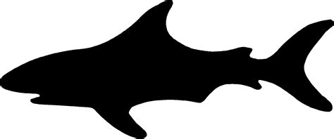 Basking shark clipart 20 free Cliparts | Download images on Clipground 2024