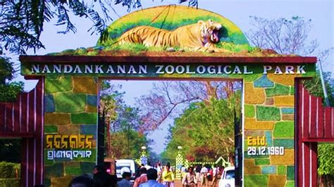 Nandankanan Zoological Park, Bhubaneswar Invites Applications for Walk ...