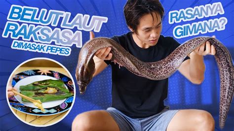 BELUT LAUT RAKSASA ( MORAY EEL ) | GIMANA RASANYA? - YouTube