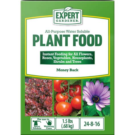 Expert Gardener All-Purpose Water Soluble Plant Food, 24-8-16 ...