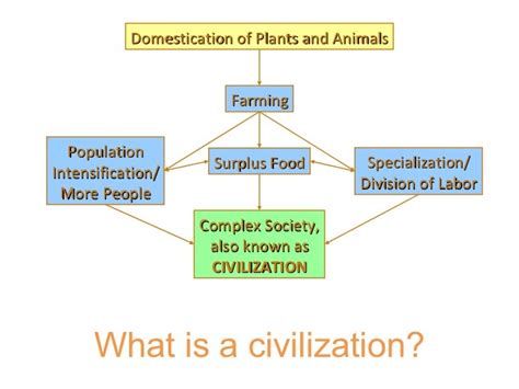 What Are The Characteristics Of A Civilization