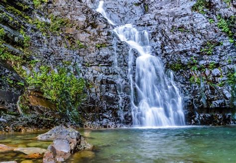 Conheça o Parque Estadual Serra do Mar, incrível área verde próxima a ...