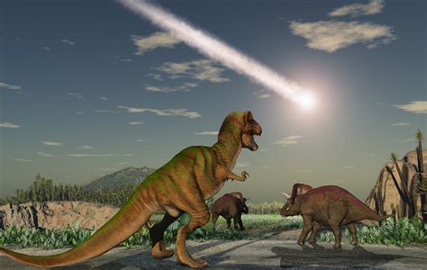 Dinosaurs were already on their way out when the asteroid struck ...