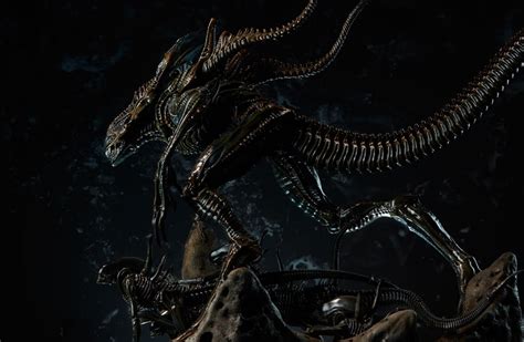 Xenomorph King: A Rogue Leader Of The Xenomorphs | AvP Central