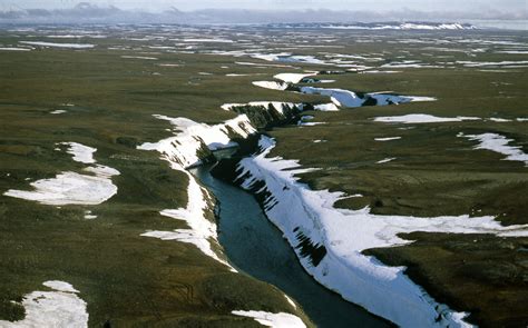 High Arctic Tundra, Northern Taymyr, Russia July 1990 | Flickr