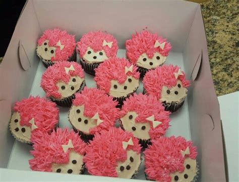 MY DAUGHTERS SWEET 16 HOT PINK HEDGEHOG CUPCAKES, :D ♡♡♡ J♢ | Hedgehog ...