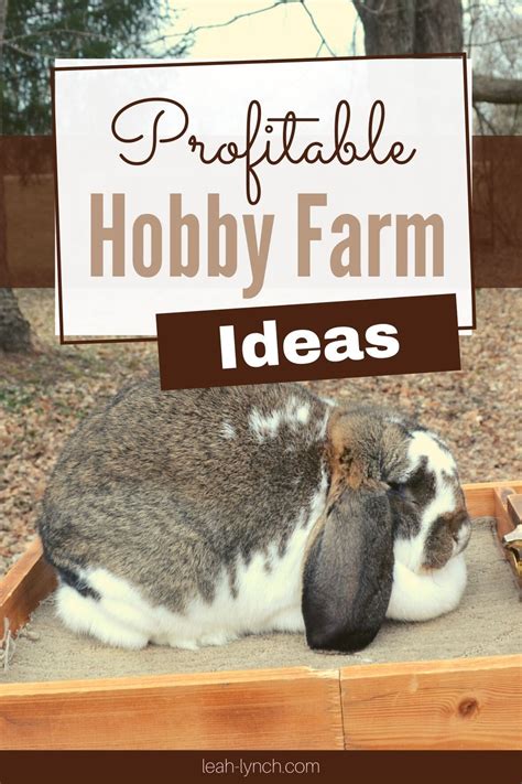 8+ Achievable Money Making Ideas To Have The Profitable Small Farm You Want in 2023 | Hobby ...