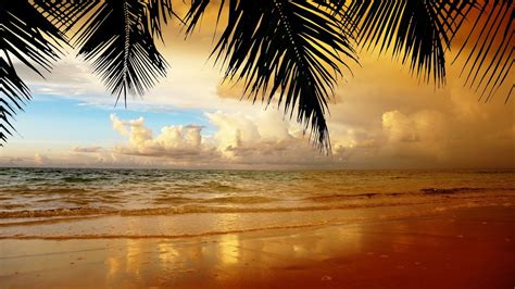 Tropical Beach Sunset Wallpapers - 4k, HD Tropical Beach Sunset Backgrounds on WallpaperBat