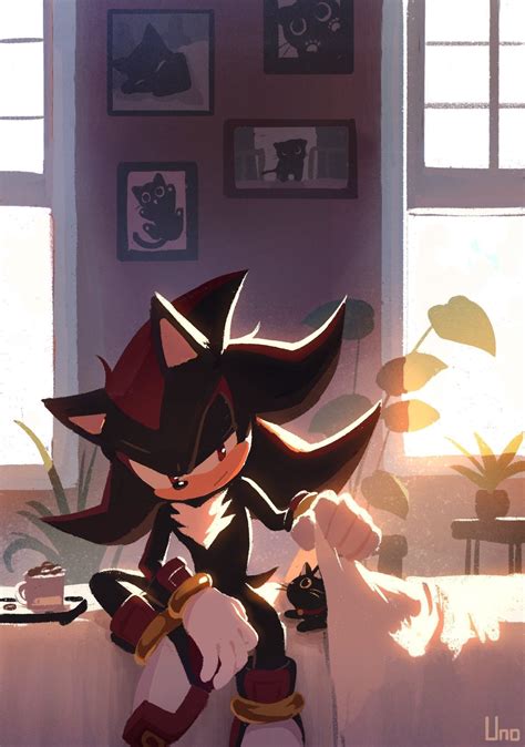 ♥️♥️😻😻😘😘 | Shadow the hedgehog, Sonic the hedgehog, Sonic fan art