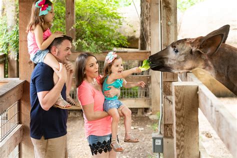 Admission to San Antonio Zoo will be $8 for residents today