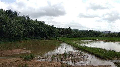 Flood Relief in Ottapalam, Kerala, by Ramakrishna Math, Co… | Flickr