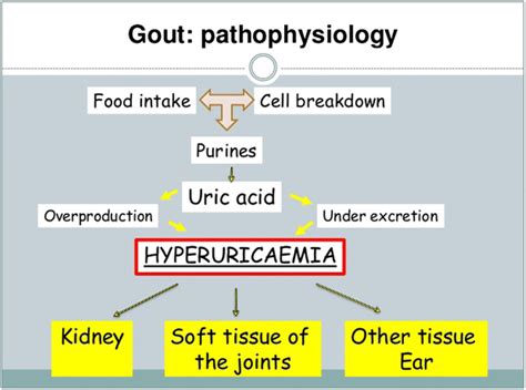 Pathophysiology Flow Chart