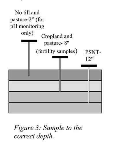 Soil Sampling Procedures for Nutrient Management | University of ...