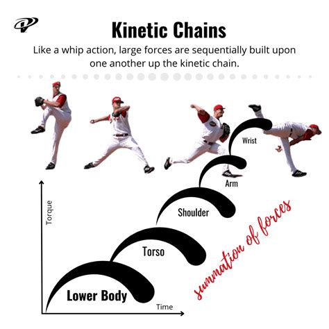 The Kinetic Chain in Overhead Sports: A Linked System